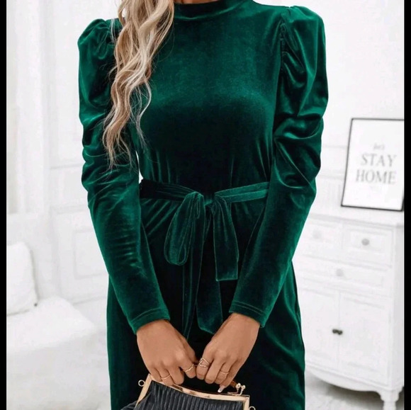 Neck Puff Sleeve Belted Velvet Dress - Picture 2 of 5